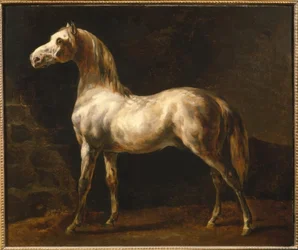 Der weiße Hengst